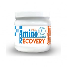 Nutrisport Amino Recovery 260g