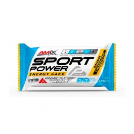 Amix Performance Sport Power Barrita Energy Cake 45g